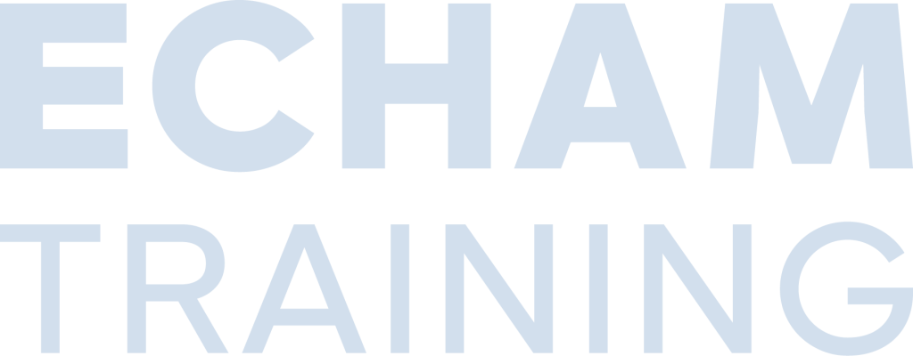 ECHAM Wordmark in Sky Blue